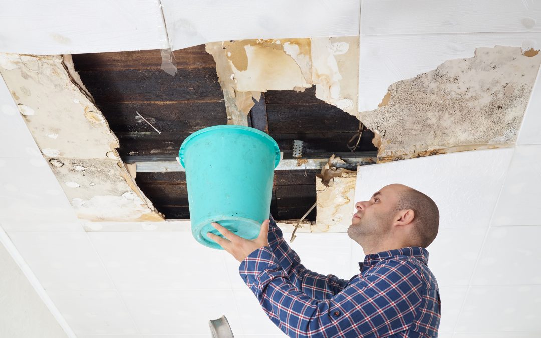 Causes, Impact, and Solutions for Water Damage in Omaha, NE