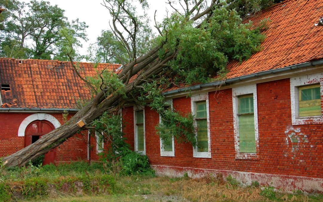 Restoring Peace After the Storm: Storm Damage Restoration in Omaha, NE