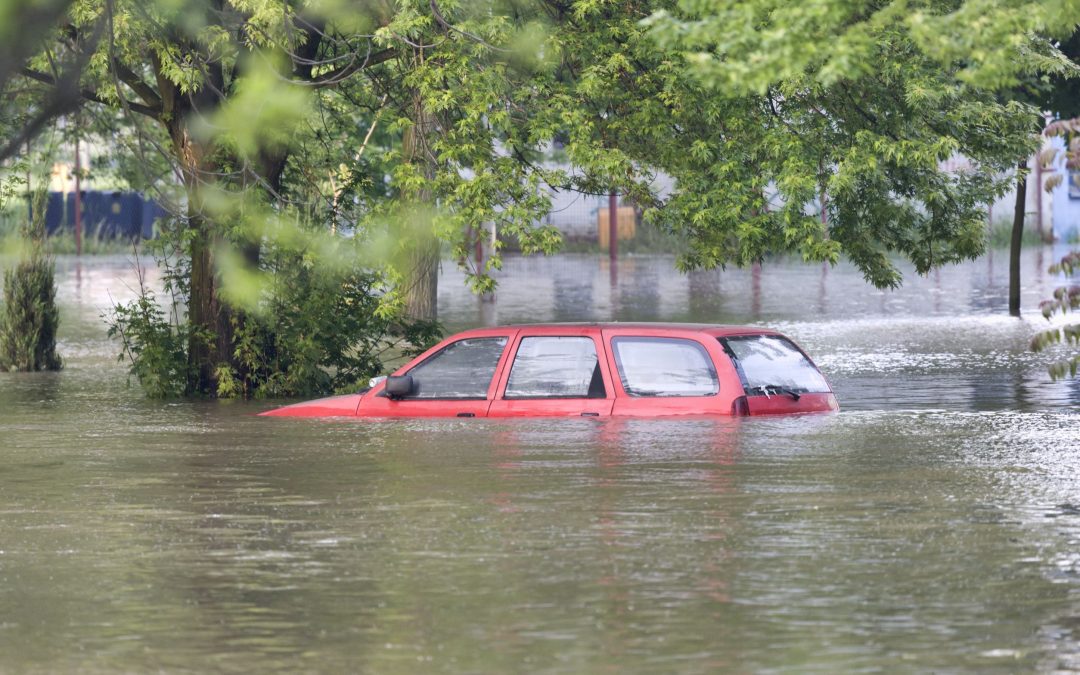 Water Damage Cleanup in Council Bluffs, IA: Expert Advice and Resources