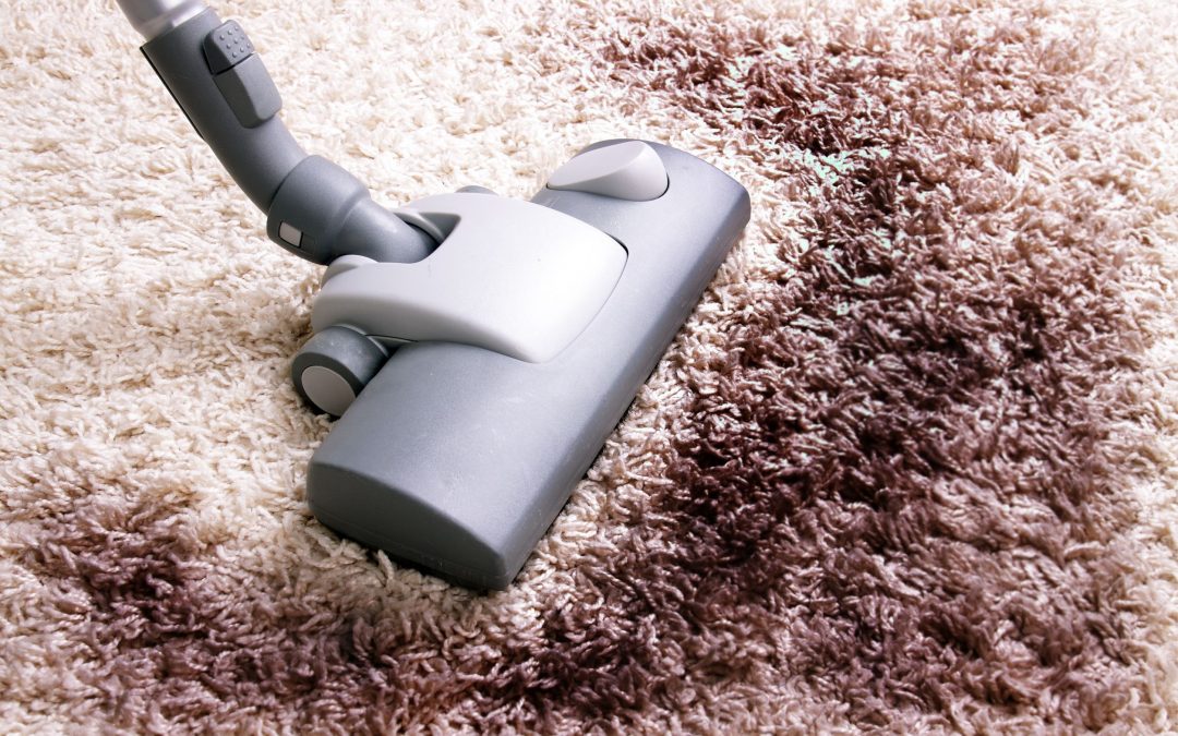 Revitalize Your Floors with a Professional Floor Cleaning Service in Auberry, CA