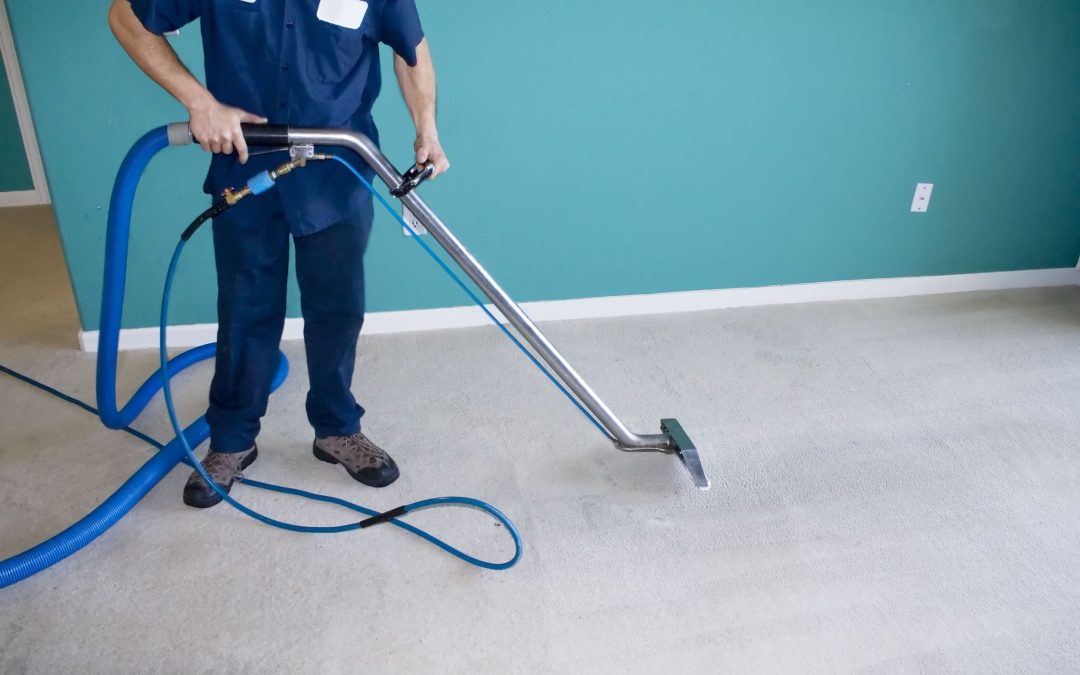 The Complete Guide to Carpet Cleaning Services in Mesa, AZ