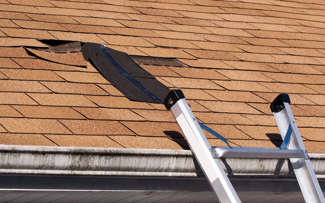 Roofing Company in Arvada, CO: Protecting Your Home from the Elements