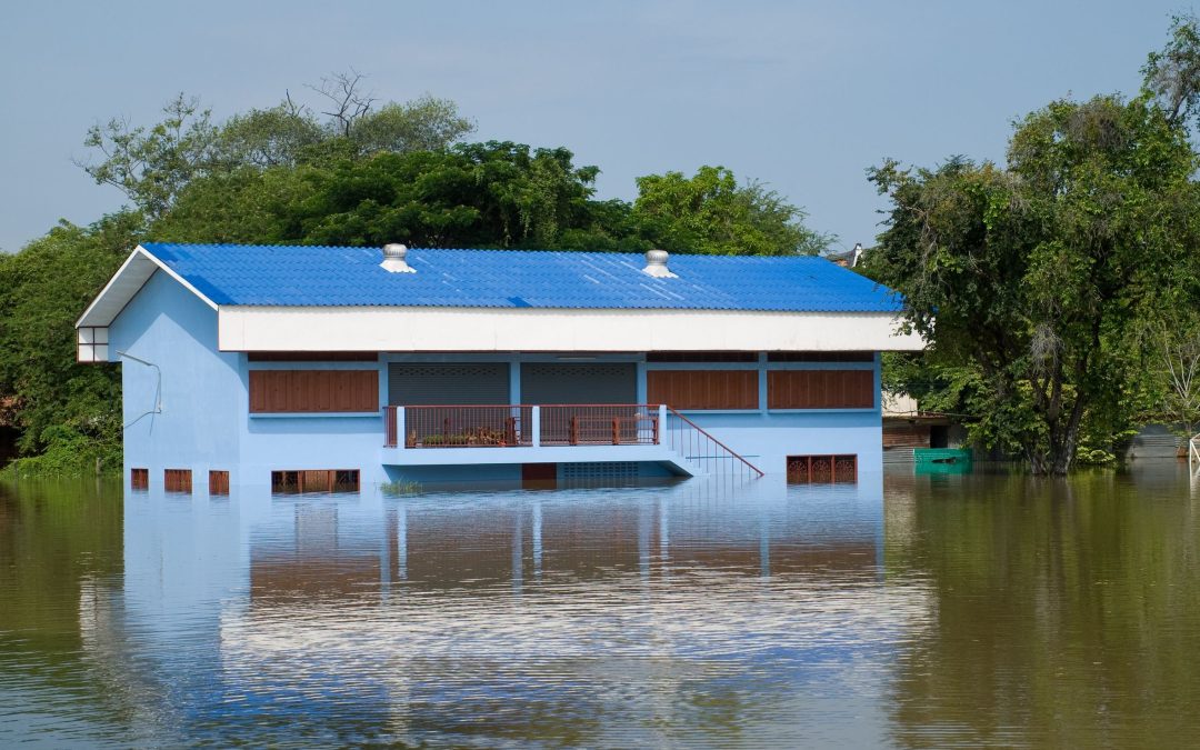 Uncovering the Path to Restoration: Water Damage Repair in Council Bluffs, IA