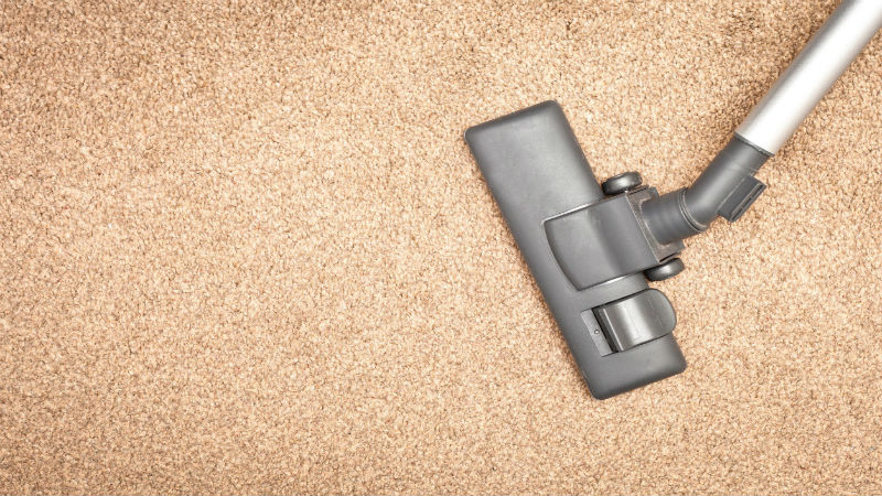 Discover the Freshness: Residential Carpet Cleaning Services in Naperville