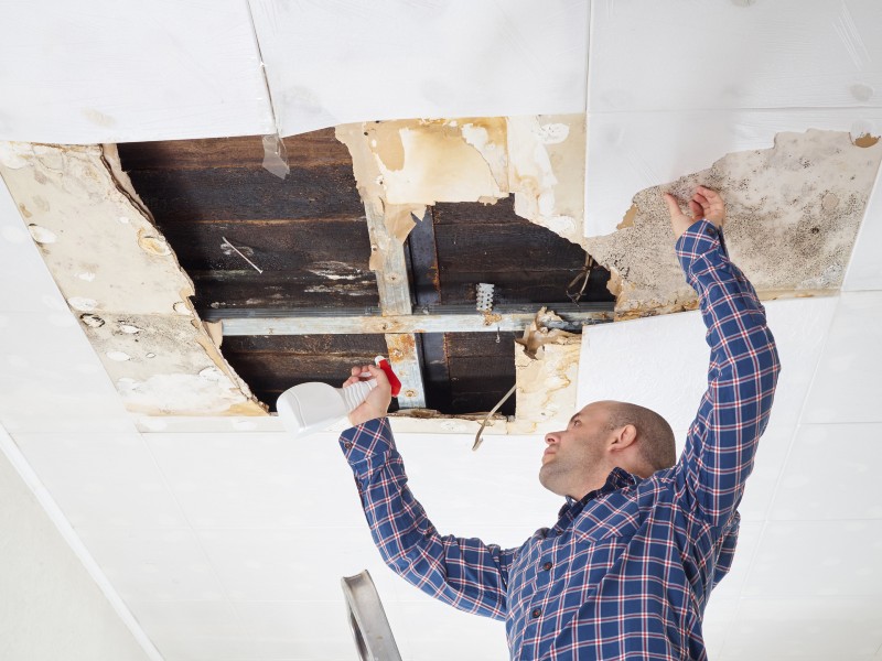 Effective Solutions for Water Damage Repair in Council Bluffs, IA.