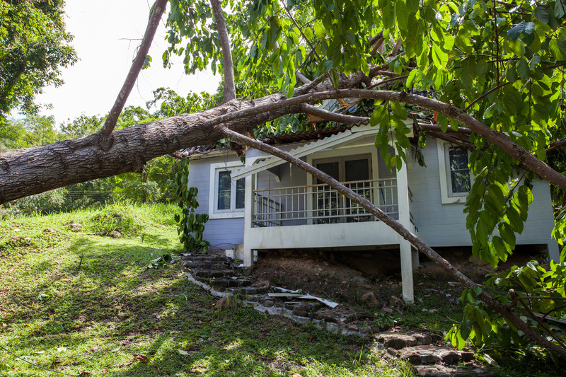 Swift and Efficient Storm Damage Clean-up in Council Bluffs, IA