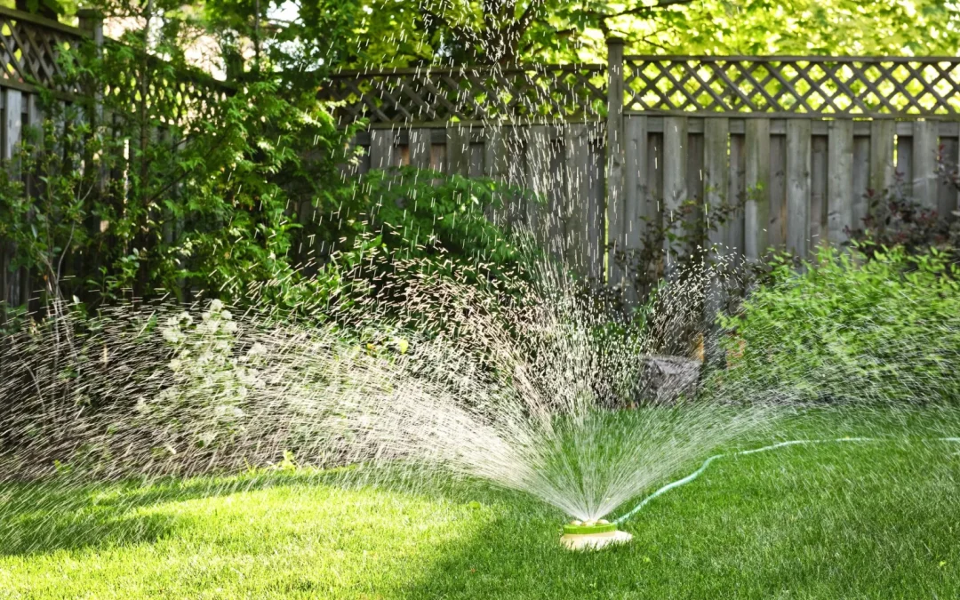 Lawn Sprinkler Repair in Austin Guarantees a Lovely, Green Groundscape