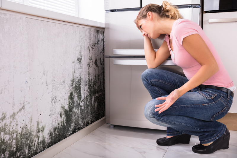 The Complete Guide for Mold Cleanup in Omaha, NE