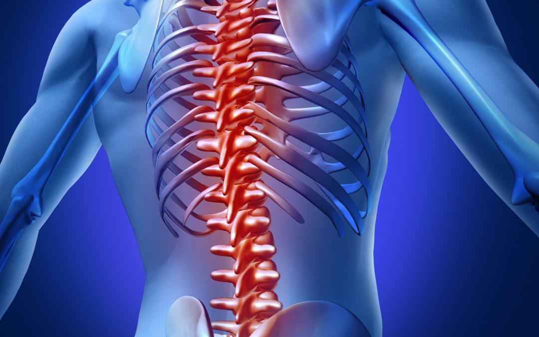 The Importance of Choosing Top-Rated Spine Doctors in Decatur, TX