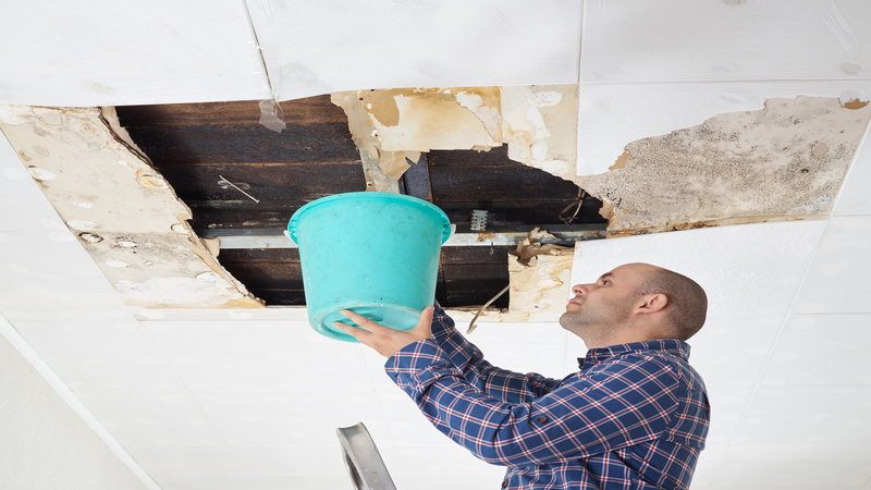 Restoring Your Home: Expert Water Damage Repair in Omaha, NE