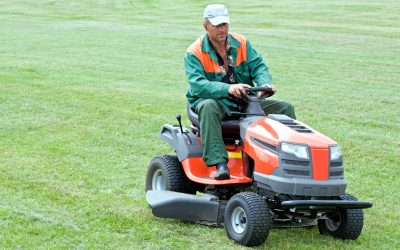 Mastering the Art of Lawn Maintenance in Toronto for a Lush, Thriving Yard Every Season