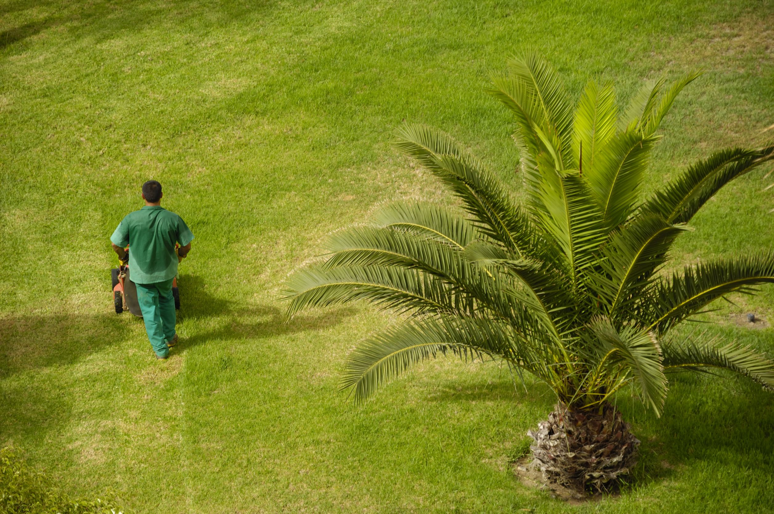 Landscape-garden