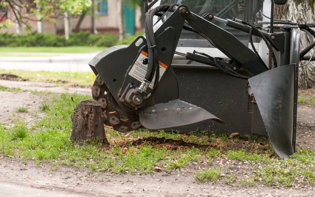 Protecting Your Property with Expert Tree Removal in Pittsburgh, PA