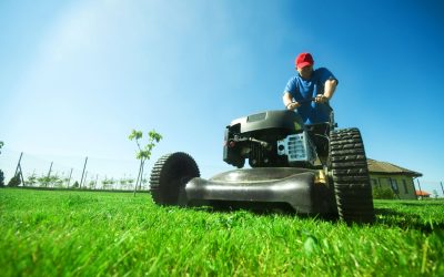 Elevating the Standards of Lawn Care through the Expertise of a Premier Lawn Care Company in MN