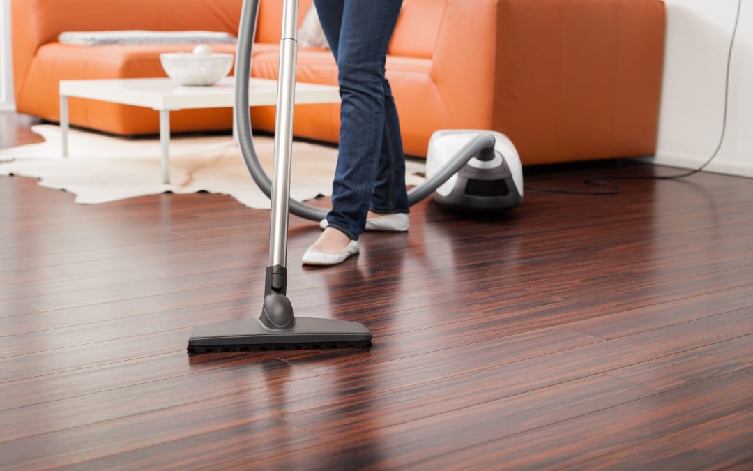 Benefits of Choosing Carpet Cleaning Services West Palm Beach for Pet Owners