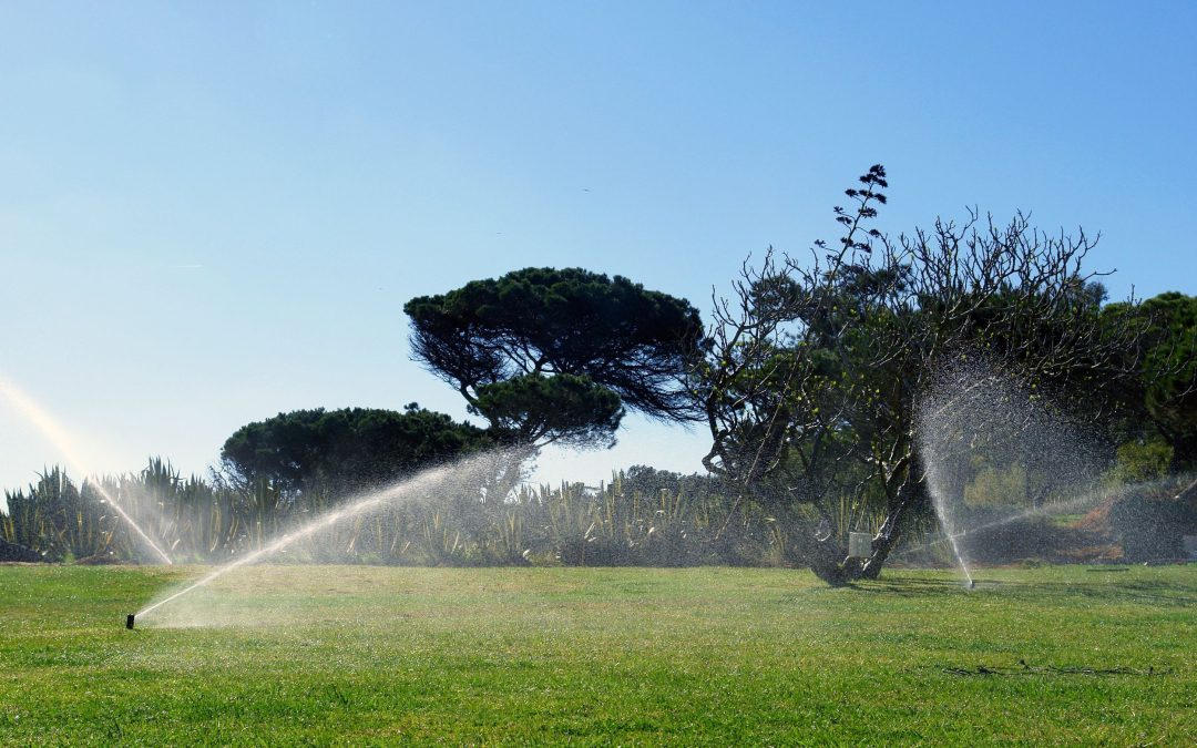 Guide to Effective Rainbird Sprinkler Repair Round Rock Homeowners Need for Reliability
