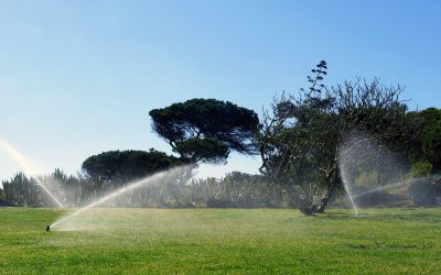 Guide to Effective Rainbird Sprinkler Repair Round Rock Homeowners Need for Reliability