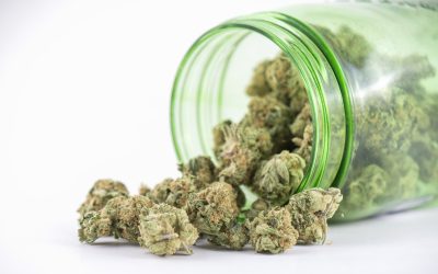 Benefits New Yorkers Gain When Choosing Bud Delivery NYC for Stress Free Service