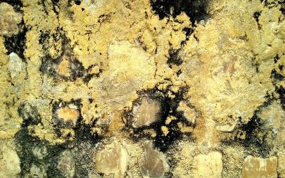 Safeguard Your Investment Using Flood Damage Restoration Temecula CA Methods