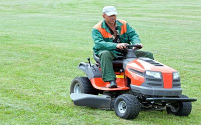 Lawn Maintenance Tips Every Homeowner Needs for a Stunning Outdoor Space