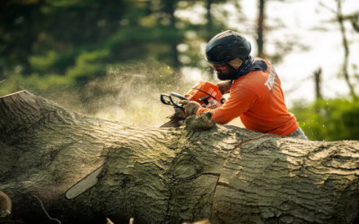 How To Protect Your Home With Expert Tree Service In Smyrna, GA Residents Trust