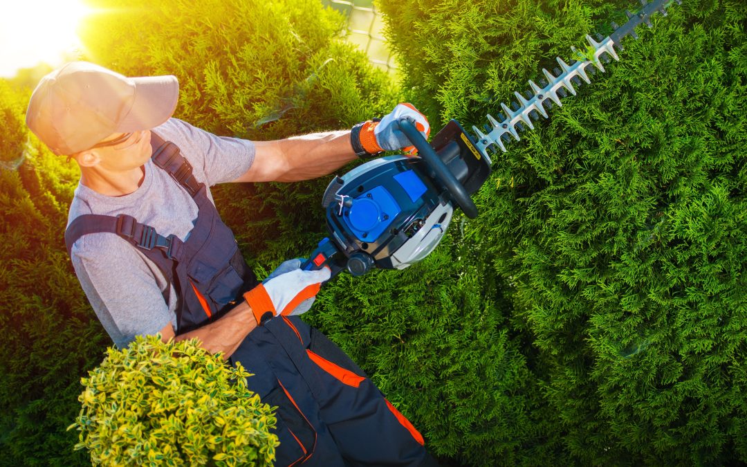 Boost Office Productivity Through Commercial Lawn Maintenance Solutions