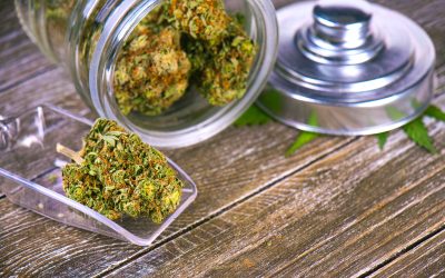 Marijuana Delivery New York City Brings Discreet Solutions to Your Neighborhood